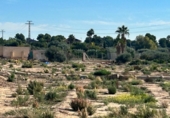 Terreny no urbanitzable en venda a la España, Crevillent, ref.: TR357788 foto