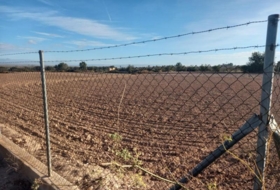 Elx 3800&nbsp;m² 