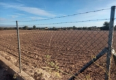 Terreny no urbanitzable en venda a la España, Elx, ref.: TR361928 foto