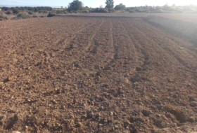 Elx 3800&nbsp;m² 