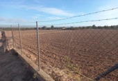Terreny no urbanitzable en venda a la España, Elx, ref.: TR361928 foto