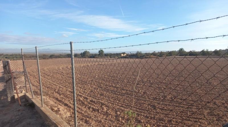 Alicante - Elche - 3800m2