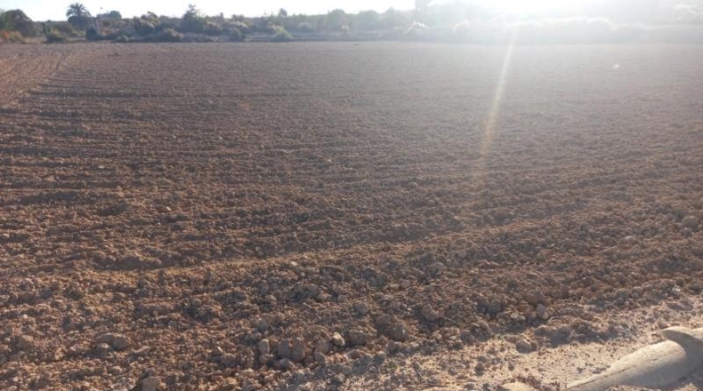 Alicante - Elche - 3800m2