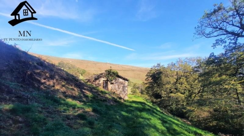 Cantabria - Vega de Pas - 8413m2