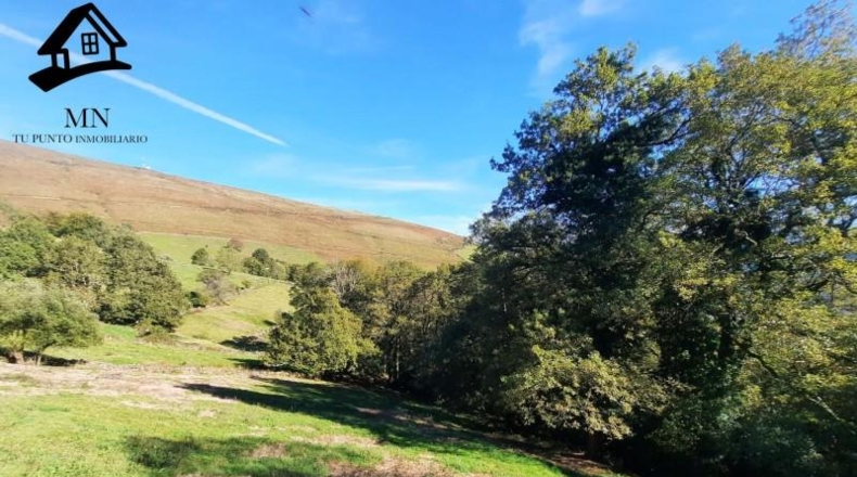 Cantabria - Vega de Pas - 8413m2