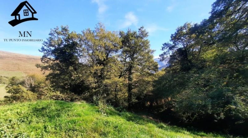 Cantabria - Vega de Pas - 8413m2