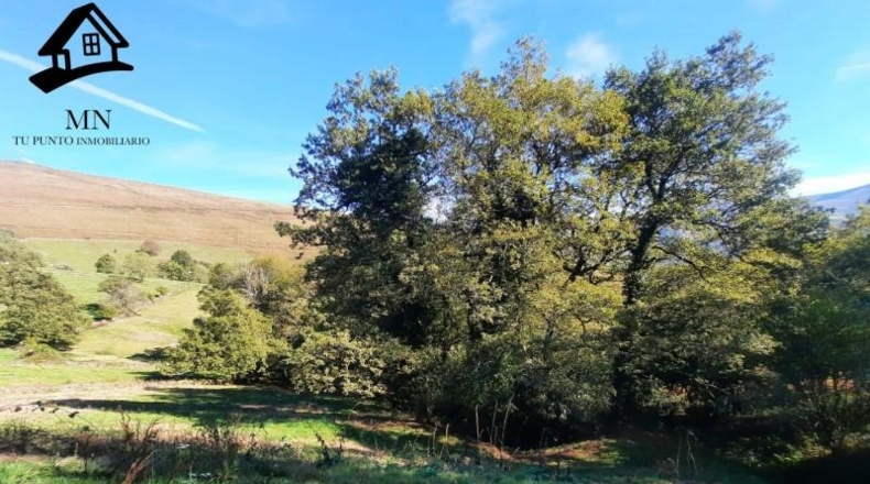 Cantabria - Vega de Pas - 8413m2