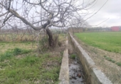 Terreno no urbanizable en venta en la España, Pitillas, ref: TR330753 foto