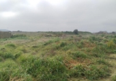 Terreno no urbanizable en venta en la España, Pitillas, ref: TR330753 foto