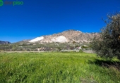 Terreno no urbanizable en venta en la España, Dúrcal, ref: TR241095 foto