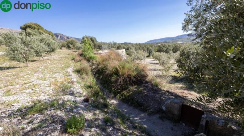 Granada - Dúrcal - 5624m2
