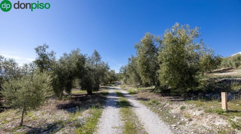 Granada - Dúrcal - 5624m2