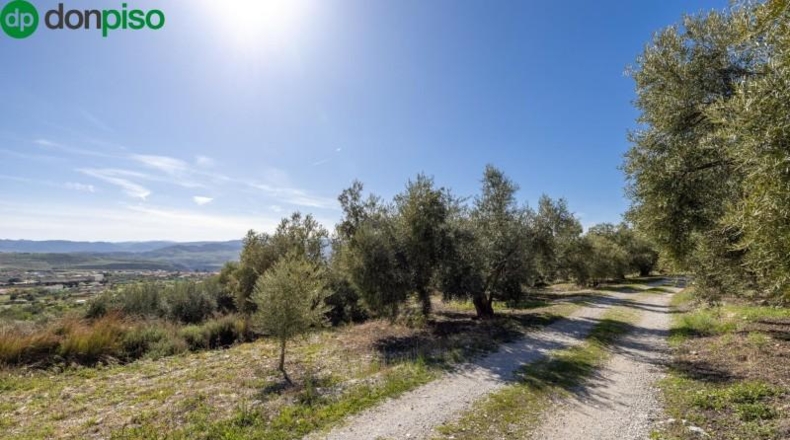 Granada - Dúrcal - 5624m2
