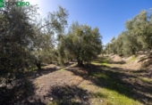 Terreno no urbanizable en venta en la España, Dúrcal, ref: TR241095 foto