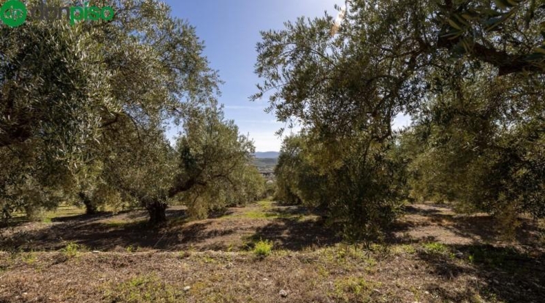 Granada - Dúrcal - 5624m2