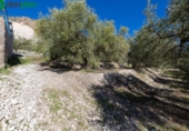 Terreno no urbanizable en venta en la España, Dúrcal, ref: TR241095 foto