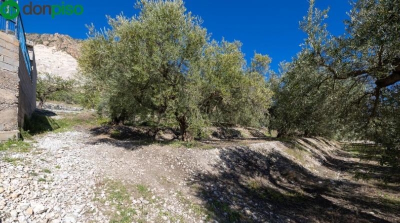Granada - Dúrcal - 5624m2