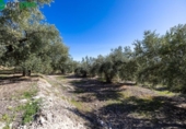 Terreno no urbanizable en venta en la España, Dúrcal, ref: TR241095 foto