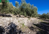 Terreno no urbanizable en venta en la España, Dúrcal, ref: TR241095 foto