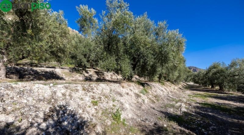 Granada - Dúrcal - 5624m2