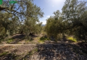 Terreno no urbanizable en venta en la España, Dúrcal, ref: TR241095 foto