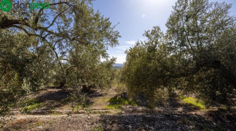 Granada - Dúrcal - 5624m2
