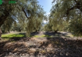 Terreno no urbanizable en venta en la España, Dúrcal, ref: TR241095 foto