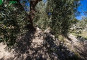 Terreno no urbanizable en venta en la España, Dúrcal, ref: TR241095 foto