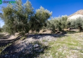 Terreno no urbanizable en venta en la España, Dúrcal, ref: TR241095 foto