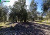 Terreno no urbanizable en venta en la España, Dúrcal, ref: TR241095 foto