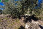 Terreno no urbanizable en venta en la España, Dúrcal, ref: TR241095 foto