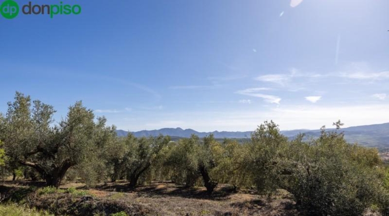 Granada - Dúrcal - 5624m2