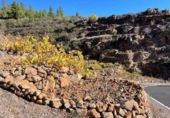 Земля на продажу у города Granadilla de Abona Фото