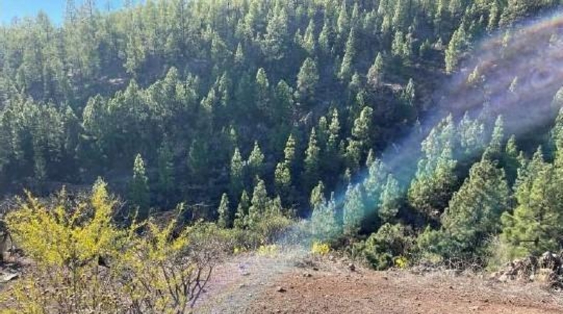 Santa Cruz de Tenerife - Granadilla de Abona - 66m2