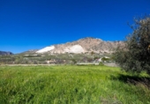 Non-developable land for sale on España, Dúrcal, ref: TR286695 photo