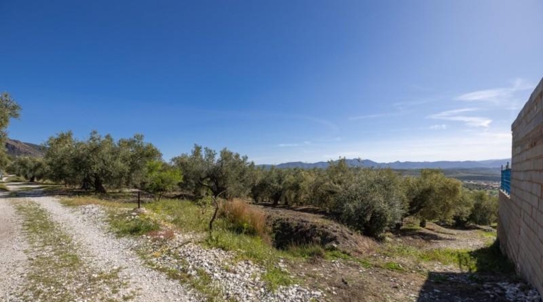 Granada - Dúrcal - 5624m2