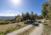 Non-developable land for sale on España, Dúrcal, ref: TR286695 photo
