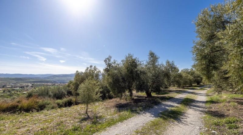 Granada - Dúrcal - 5624m2
