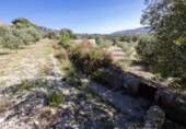 Non-developable land for sale on España, Dúrcal, ref: TR286695 photo