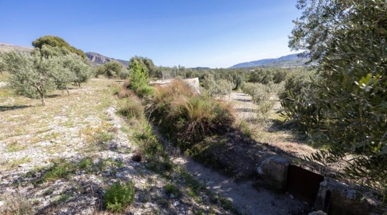 Granada - Dúrcal - 5624m2