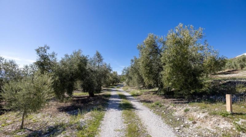 Granada - Dúrcal - 5624m2