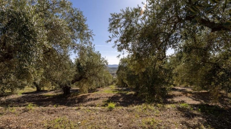 Granada - Dúrcal - 5624m2