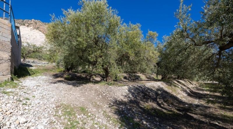 Granada - Dúrcal - 5624m2