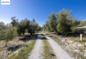 Terreno no urbanizable en venta en la España, Dúrcal, ref: TR286694 foto