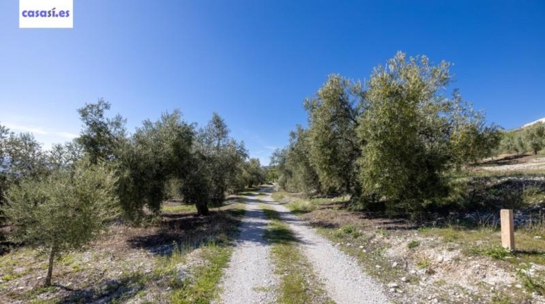 Granada - Dúrcal - 5624m2