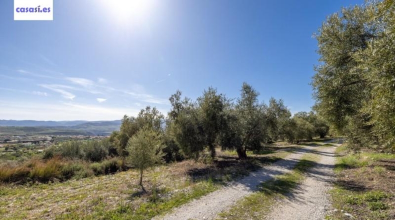 Granada - Dúrcal - 5624m2