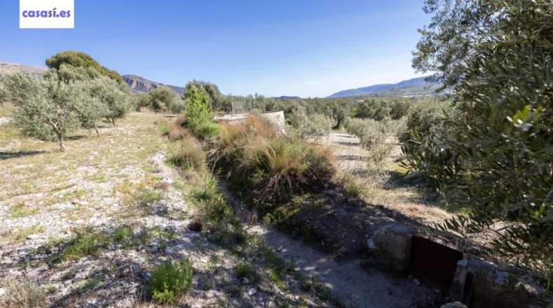 Granada - Dúrcal - 5624m2