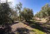Terreno no urbanizable en venta en la España, Dúrcal, ref: TR286694 foto