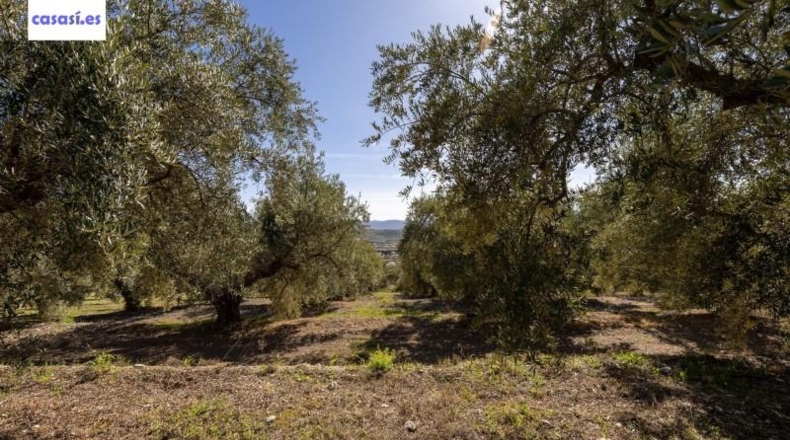 Granada - Dúrcal - 5624m2