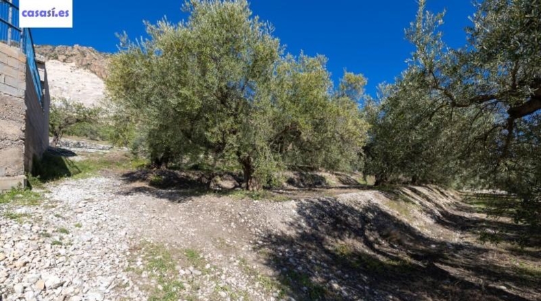 Granada - Dúrcal - 5624m2